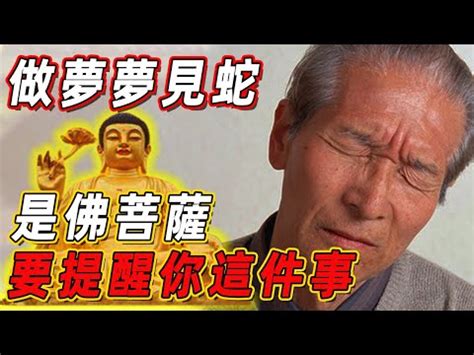 路上 看 到蛇代表什麼|【看見蛇代表什麼】看見蛇代表什麼？民俗專家揭露傳統文化中的。